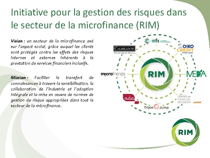 Initiative pour la gestion des risques dans le secteur de la microfinance (RIM) Vision