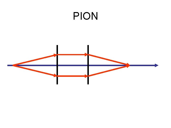 PION PION