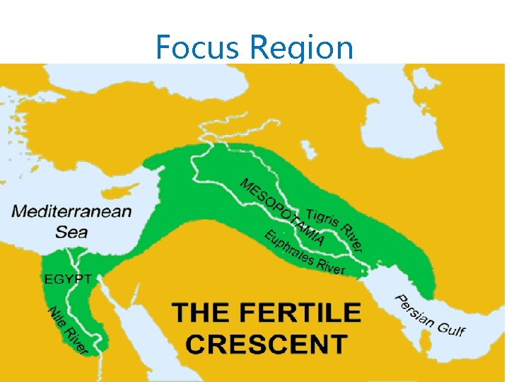 Focus Region 