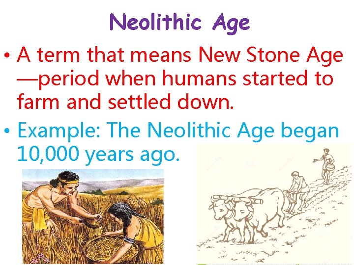 Neolithic Age • A term that means New Stone Age —period when humans started