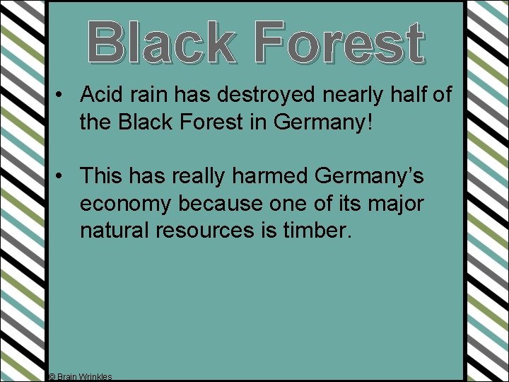 Black Forest • Acid rain has destroyed nearly half of the Black Forest in