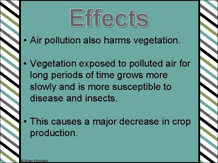 Effects • Air pollution also harms vegetation. • Vegetation exposed to polluted air for
