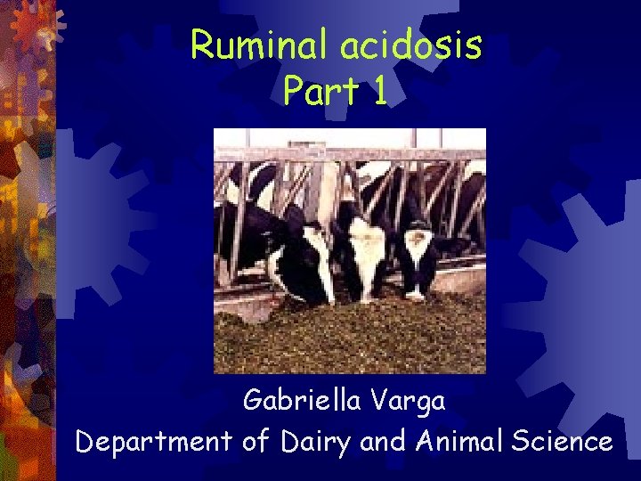 Ruminal acidosis Part 1 Gabriella Varga Department of Dairy and Animal Science 