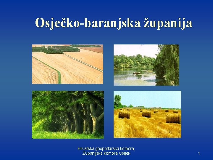 Osječko-baranjska županija Hrvatska gospodarska komora, Županijska komora Osijek 1 