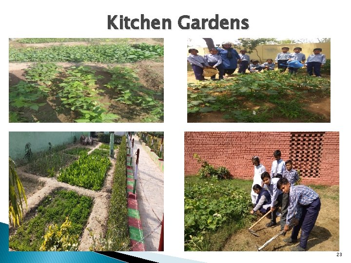 Kitchen Gardens 23 
