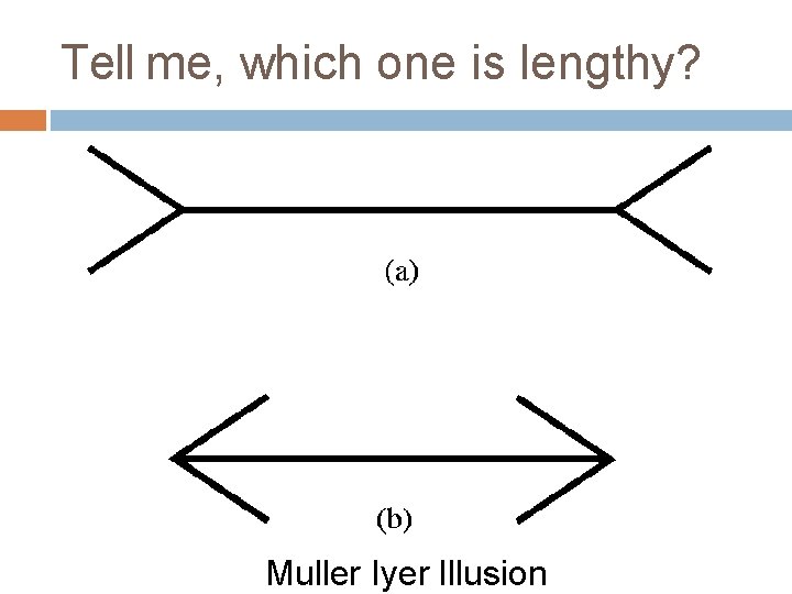 Tell me, which one is lengthy? Muller Iyer Illusion 