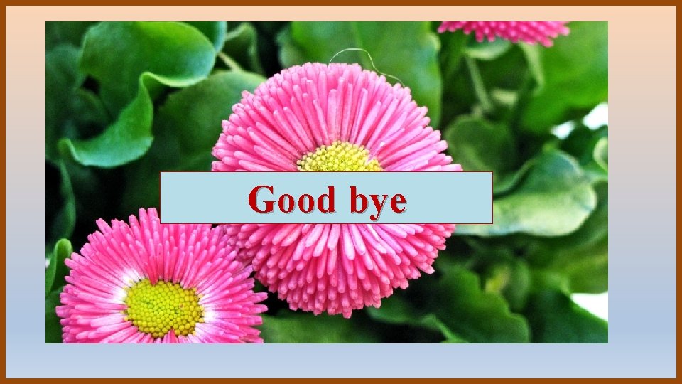Good bye 