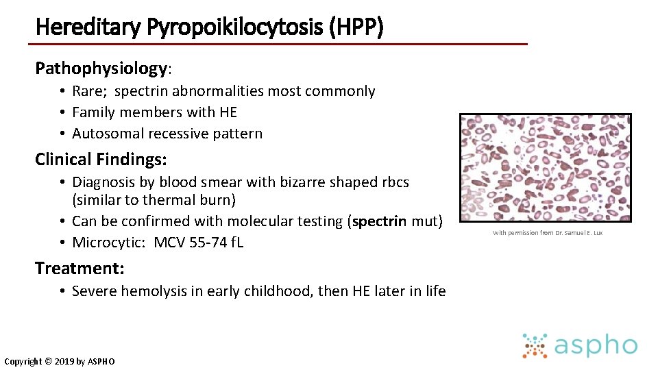 Hereditary Pyropoikilocytosis (HPP) Pathophysiology: • Rare; spectrin abnormalities most commonly • Family members with