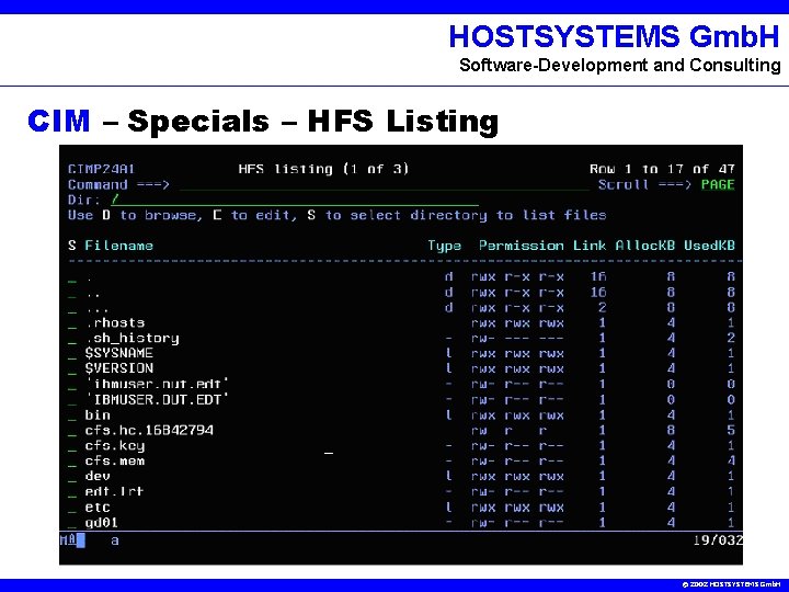 HOSTSYSTEMS Gmb. H Software-Development and Consulting CIM – Specials – HFS Listing © 2002