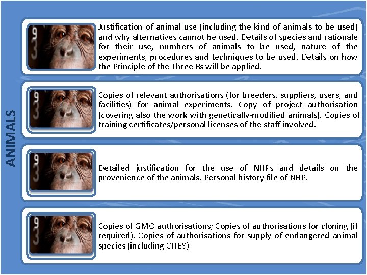 ANIMALS Justification of animal use (including the kind of animals to be used) and