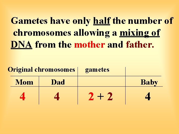Gametes have only half the number of chromosomes allowing a mixing of DNA from