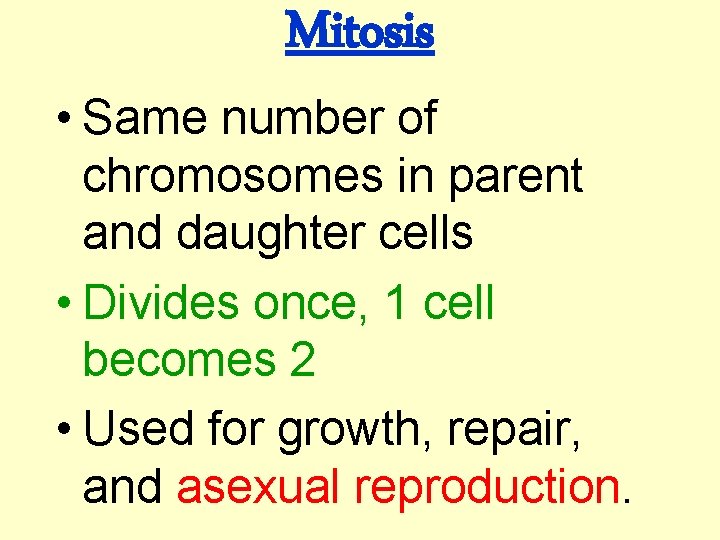 Mitosis • Same number of chromosomes in parent and daughter cells • Divides once,