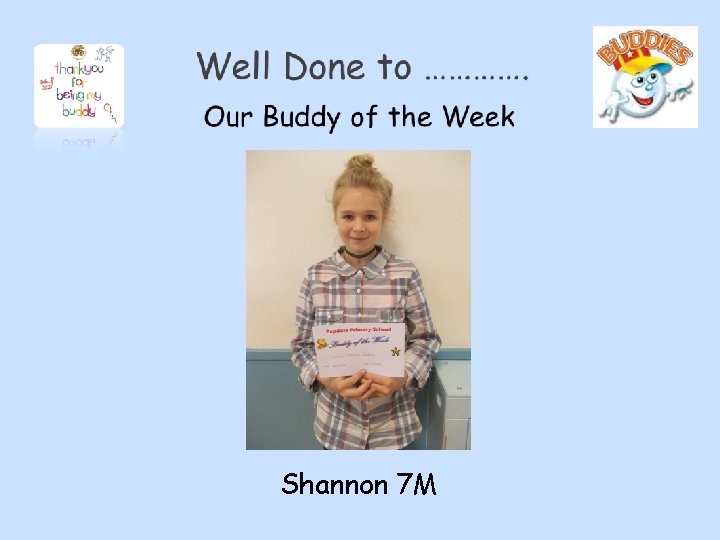 Shannon 7 M Shannon 7 M