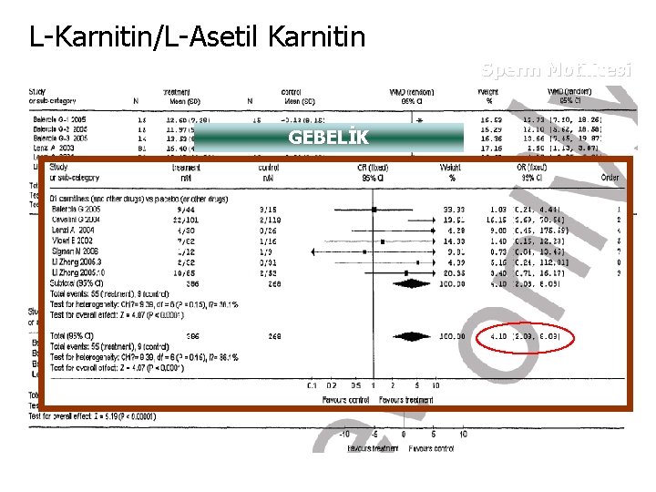 L-Karnitin/L-Asetil Karnitin Sperm Motilitesi GEBELİK Sperm Morfolojisi 