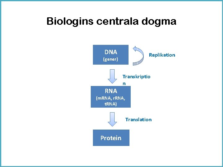 Biologins centrala dogma DNA Replikation (gener) Transkriptio n RNA (m. RNA, r. RNA, t.