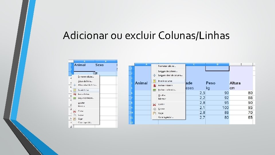 Adicionar ou excluir Colunas/Linhas 