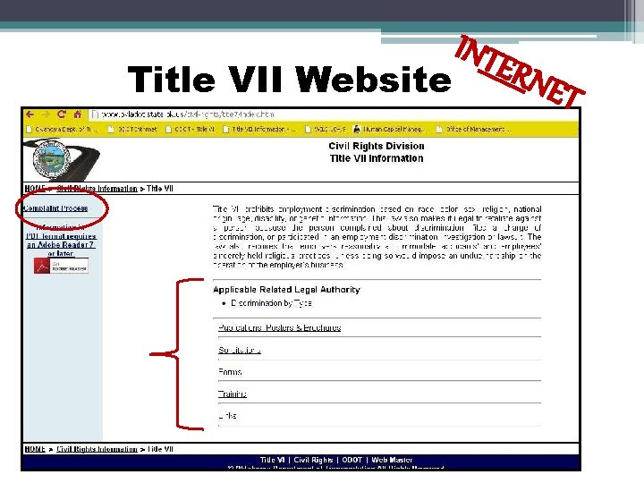 Title VII Website INTE R NE T 
