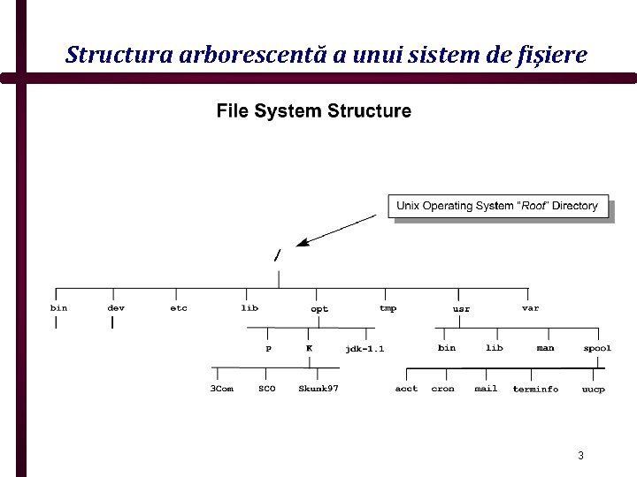 Structura arborescentă a unui sistem de fişiere 3 
