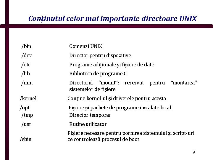 Conţinutul celor mai importante directoare UNIX /bin Comenzi UNIX /dev Director pentru dispozitive /etc