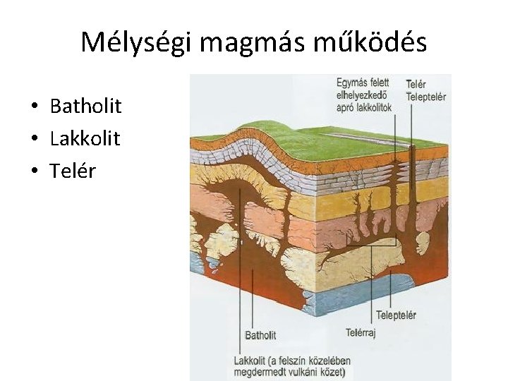 Mélységi magmás működés • Batholit • Lakkolit • Telér 