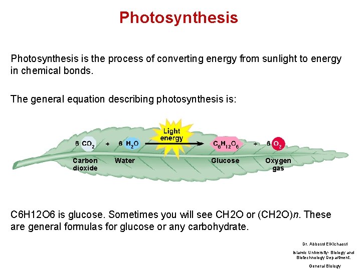 Photosynthesis is the process of converting energy from sunlight to energy in chemical bonds.