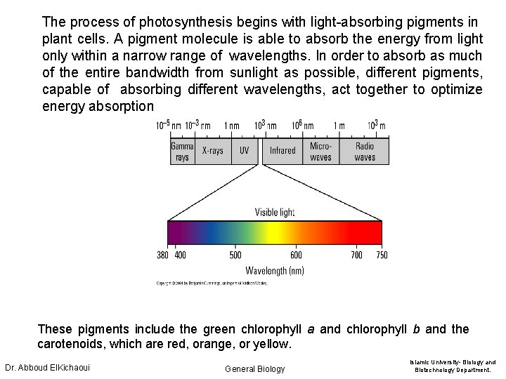 The process of photosynthesis begins with light-absorbing pigments in plant cells. A pigment molecule