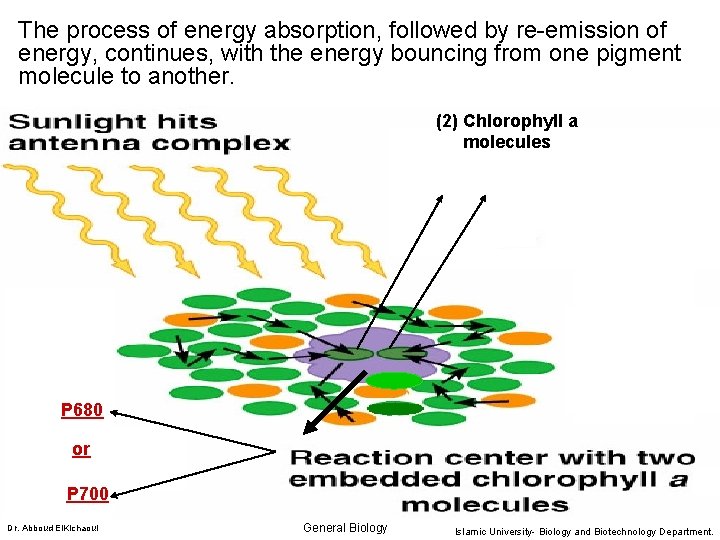 The process of energy absorption, followed by re-emission of energy, continues, with the energy