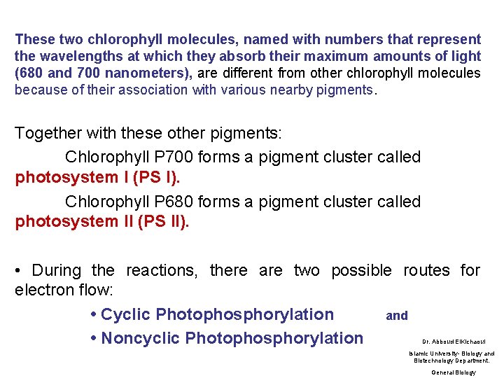 These two chlorophyll molecules, named with numbers that represent the wavelengths at which they