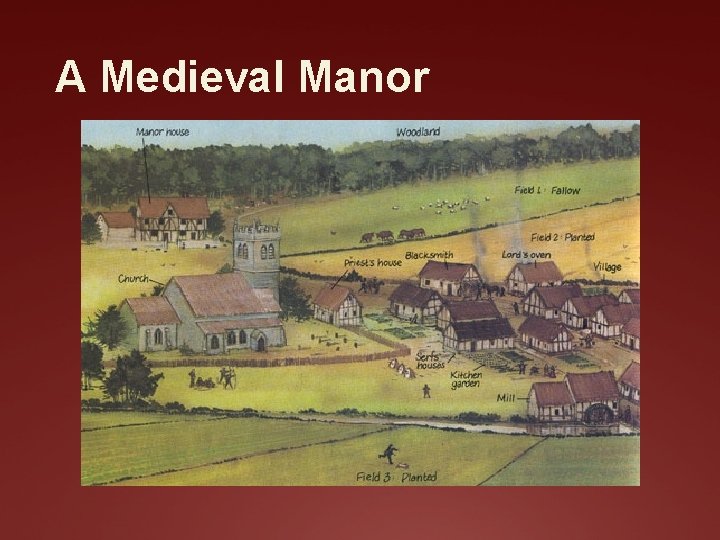 A Medieval Manor 