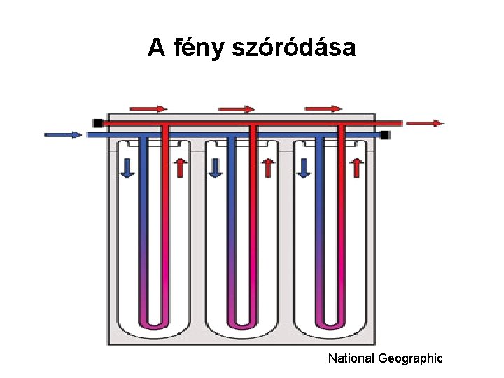 A fény szóródása National Geographic 