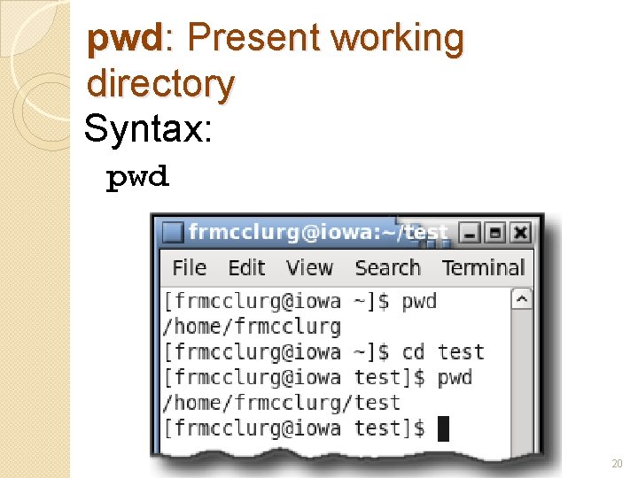 pwd: Present working directory Syntax: pwd 20 