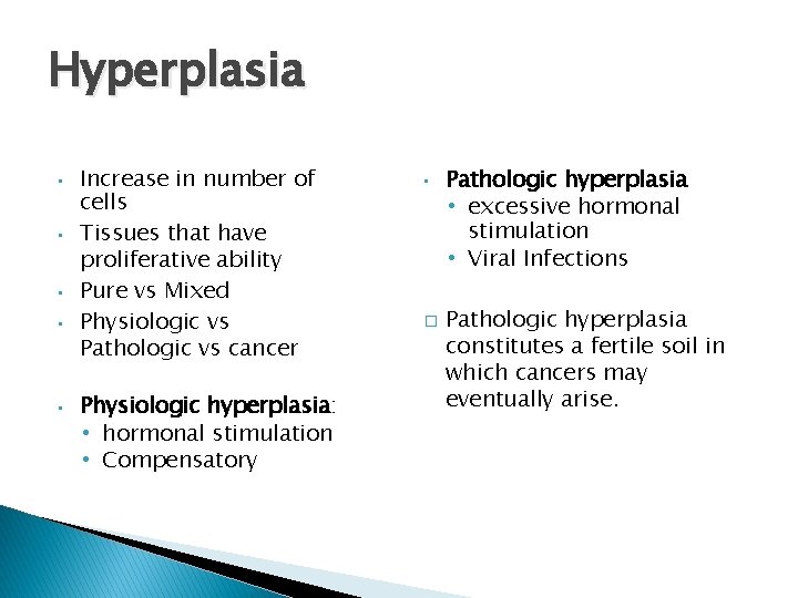 Hyperplasia • • • Increase in number of cells Tissues that have proliferative ability