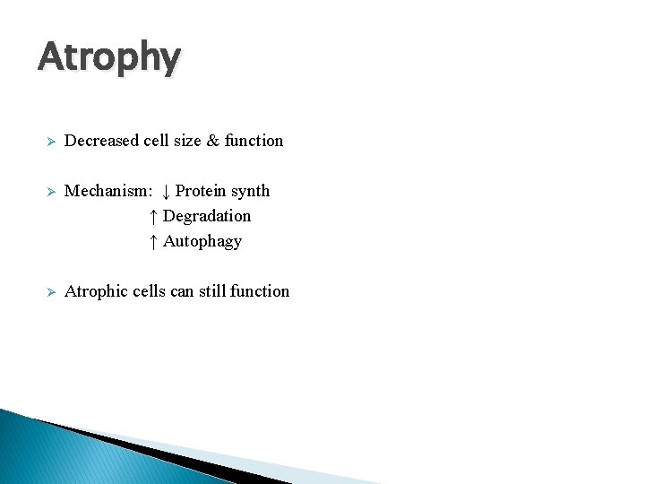 Atrophy Ø Decreased cell size & function Ø Mechanism: ↓ Protein synth ↑ Degradation