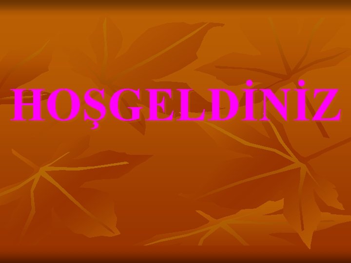 HOŞGELDİNİZ 