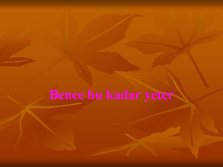 Bence bu kadar yeter 