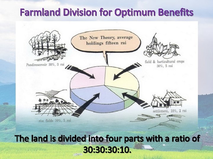 Farmland Division for Optimum Benefits The land is divided into four parts with a