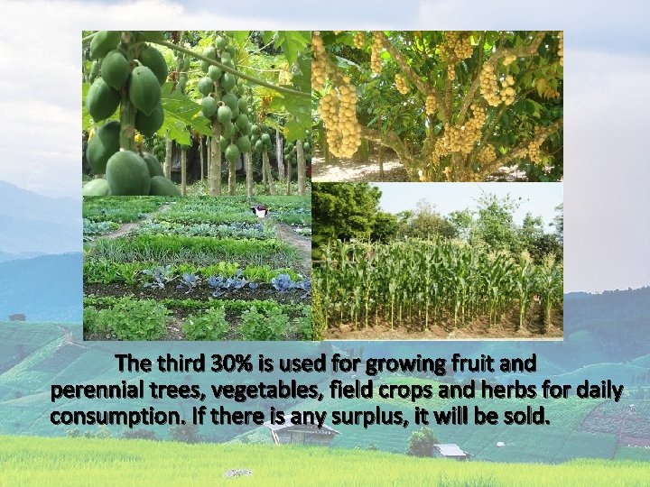  The third 30% is used for growing fruit and perennial trees, vegetables, field