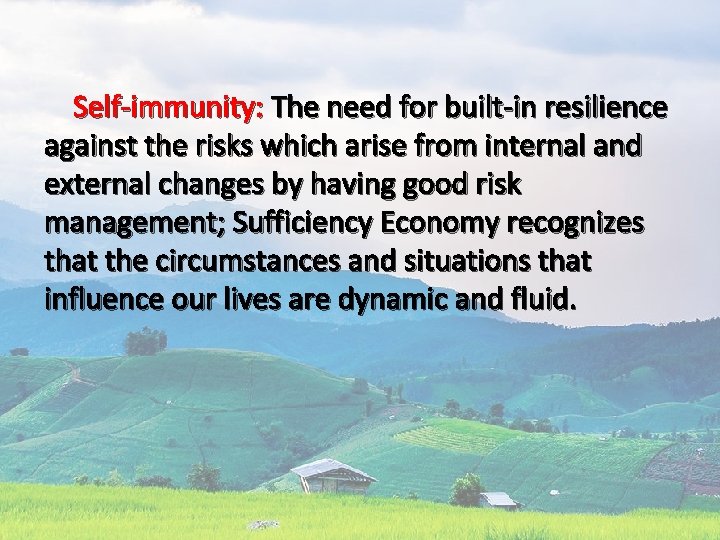  Self-immunity: The need for built-in resilience against the risks which arise from internal