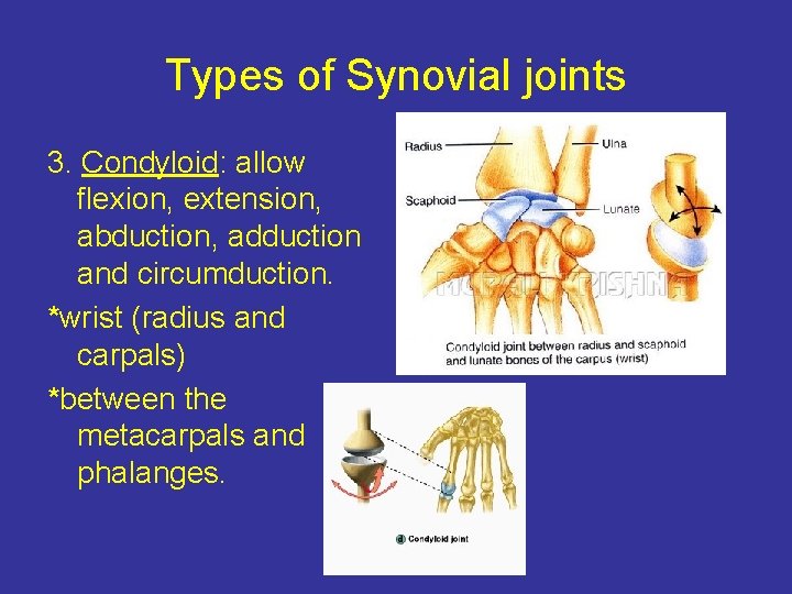 Types of Synovial joints 3. Condyloid: allow flexion, extension, abduction, adduction and circumduction. *wrist