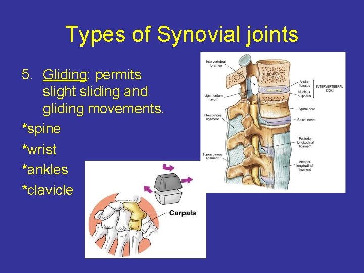 Types of Synovial joints 5. Gliding: permits slight sliding and gliding movements. *spine *wrist