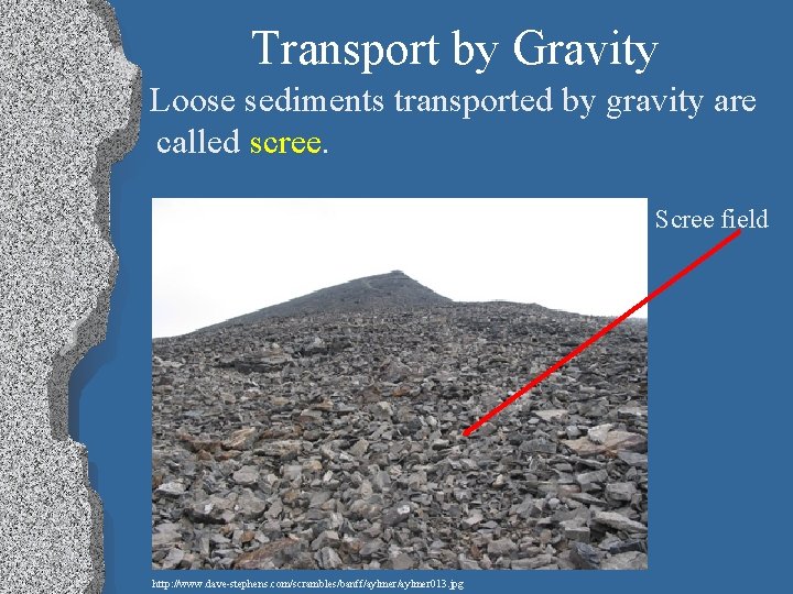 Transport by Gravity Loose sediments transported by gravity are called scree. Scree field http: