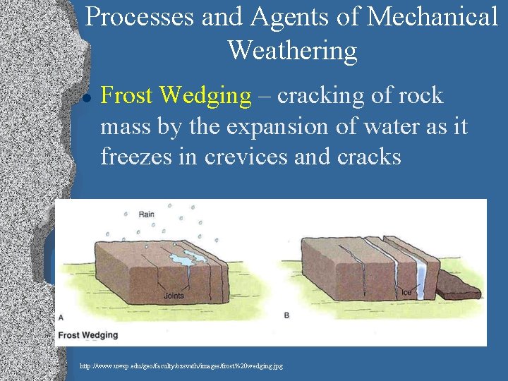 Processes and Agents of Mechanical Weathering l Frost Wedging – cracking of rock mass