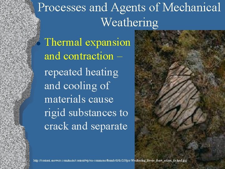 Processes and Agents of Mechanical Weathering l Thermal expansion and contraction – repeated heating