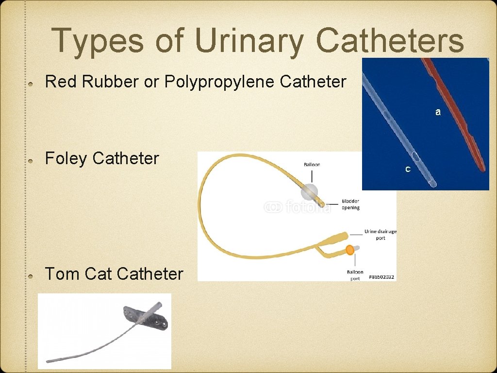 Types of Urinary Catheters Red Rubber or Polypropylene Catheter Foley Catheter Tom Catheter Types of Urinary Catheters Red Rubber or Polypropylene Catheter Foley Catheter Tom Catheter