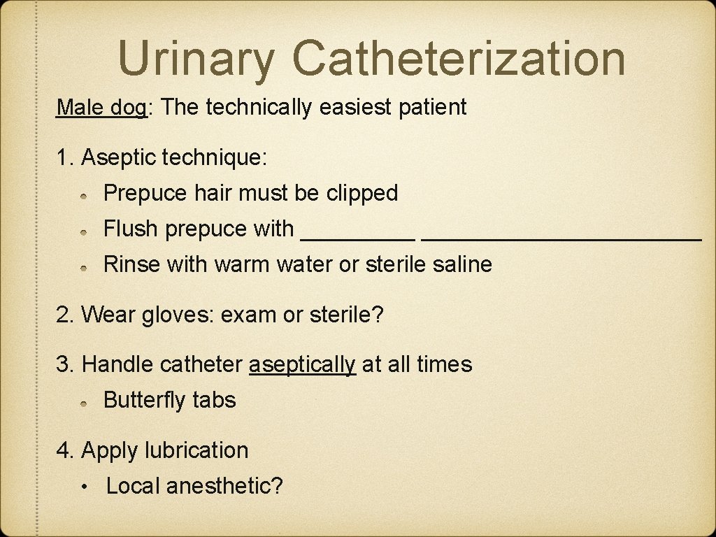 Urinary Catheterization Male dog: The technically easiest patient 1. Aseptic technique: Prepuce hair must Urinary Catheterization Male dog: The technically easiest patient 1. Aseptic technique: Prepuce hair must