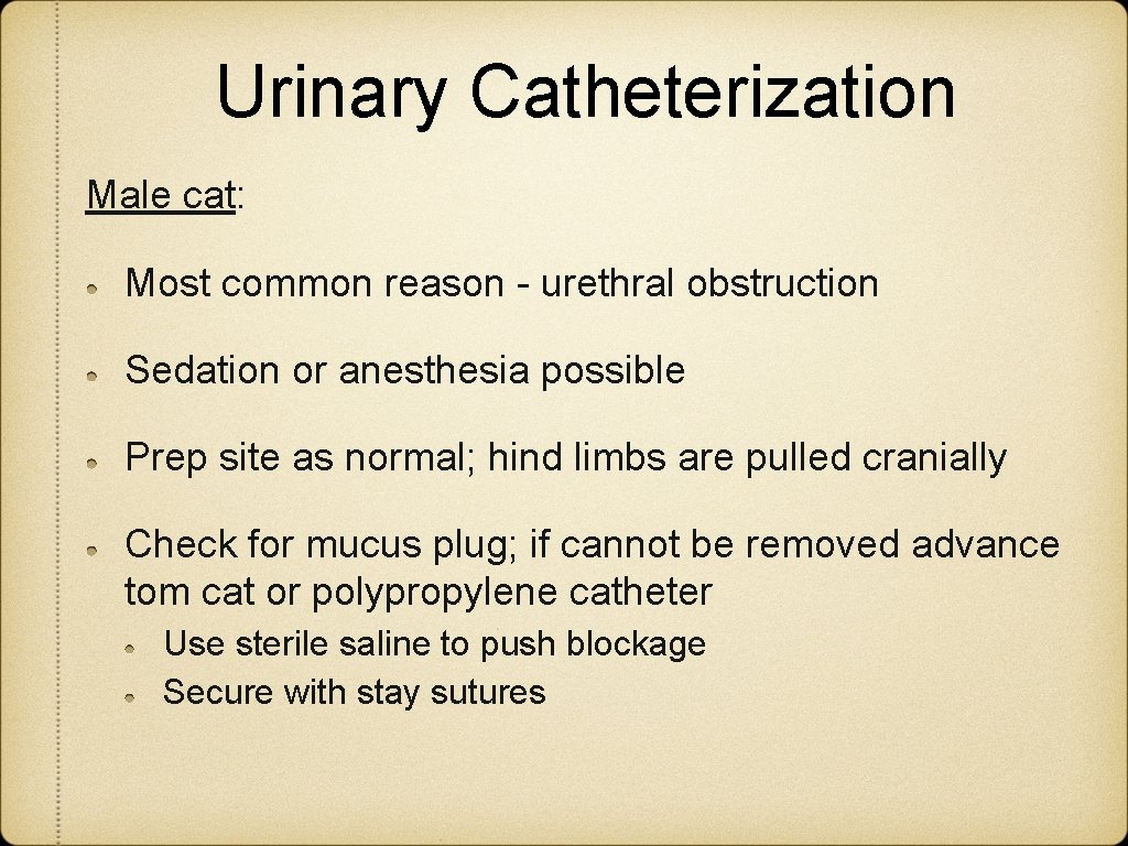Urinary Catheterization Male cat: Most common reason - urethral obstruction Sedation or anesthesia possible Urinary Catheterization Male cat: Most common reason - urethral obstruction Sedation or anesthesia possible