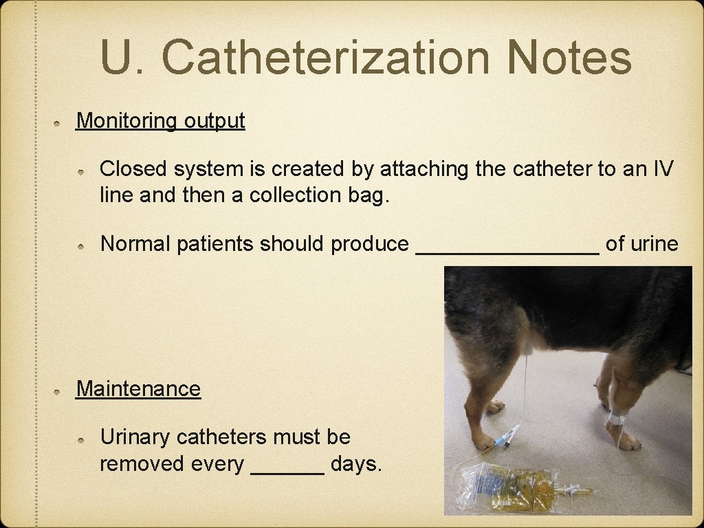 U. Catheterization Notes Monitoring output Closed system is created by attaching the catheter to U. Catheterization Notes Monitoring output Closed system is created by attaching the catheter to
