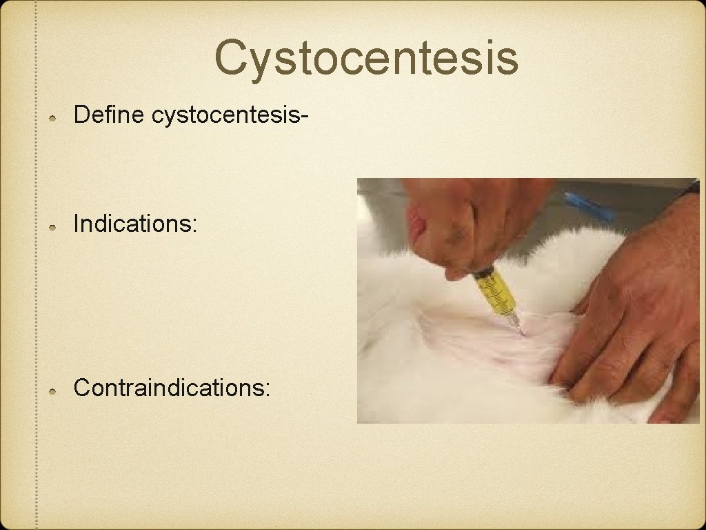 Cystocentesis Define cystocentesis- Indications: Contraindications: Cystocentesis Define cystocentesis- Indications: Contraindications: