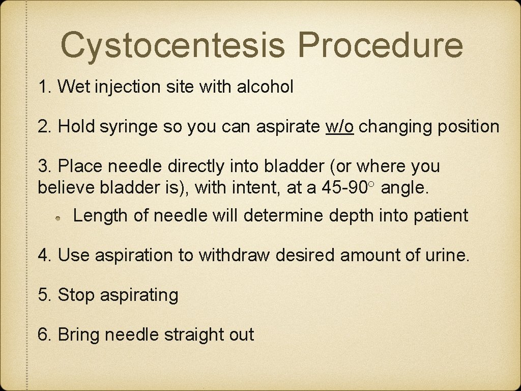 Cystocentesis Procedure 1. Wet injection site with alcohol 2. Hold syringe so you can Cystocentesis Procedure 1. Wet injection site with alcohol 2. Hold syringe so you can