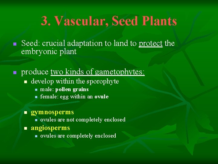 3. Vascular, Seed Plants n n Seed: crucial adaptation to land to protect the